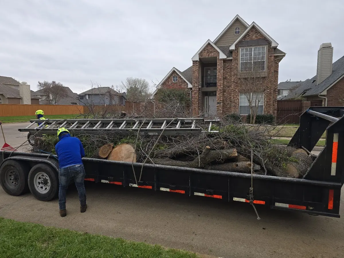 Expert Lot Clearing with proper safety equipment in Dinwiddie